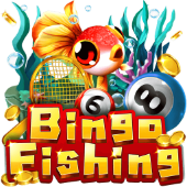 Câu Cá Bingo go3 game